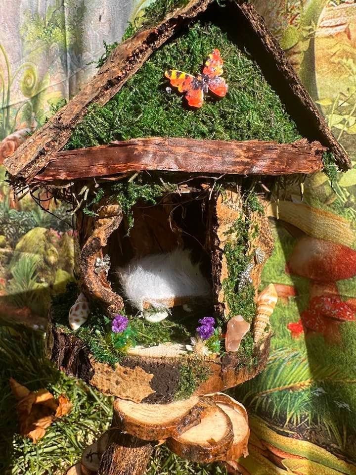 Wonders Of The Fairy World Fairy House Miniature Dollhouse Garden