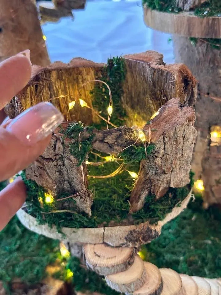 Fairy House With Lights