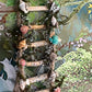 Fairy Ladder With Seashells Flowers And Butterfly Accents Unique Fairy Garden Accessories Fairy House Ladder