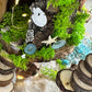 seashell Fairy House