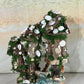Seashell Fairy house