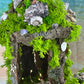 Mermaid House Beach Fairy House Seashell Mermaid House Ocean Wonders Mermaids Fairy House