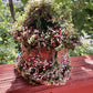 Adorable Small Fairy Garden House Single Fairy House Fully Decorated Fairy House Handmade Out or indoor Wooden Fairy House