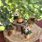 Fairy House Dining Set Fairy Garden 5 Piece Set Just Adorable Fairy House Decor