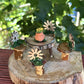Fairy House Dining Set Fairy Garden 5 Piece Set Just Adorable Fairy House Decor