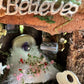 Adorable Small Fairy Garden House Single Fairy House Fully Decorated Fairy House Handmade Out or indoor Wooden Fairy House