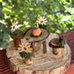 Fairy House Dining Set Fairy Garden 5 Piece Set Just Adorable Fairy House Decor