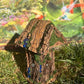 Cutest Fairy House
