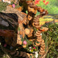 Huge Mystical Handmade Fairy House With Lights Fairy Garden Fairy Garden