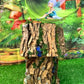 Single Fairy House For Fairy Garden Fairy Garden Outdoor